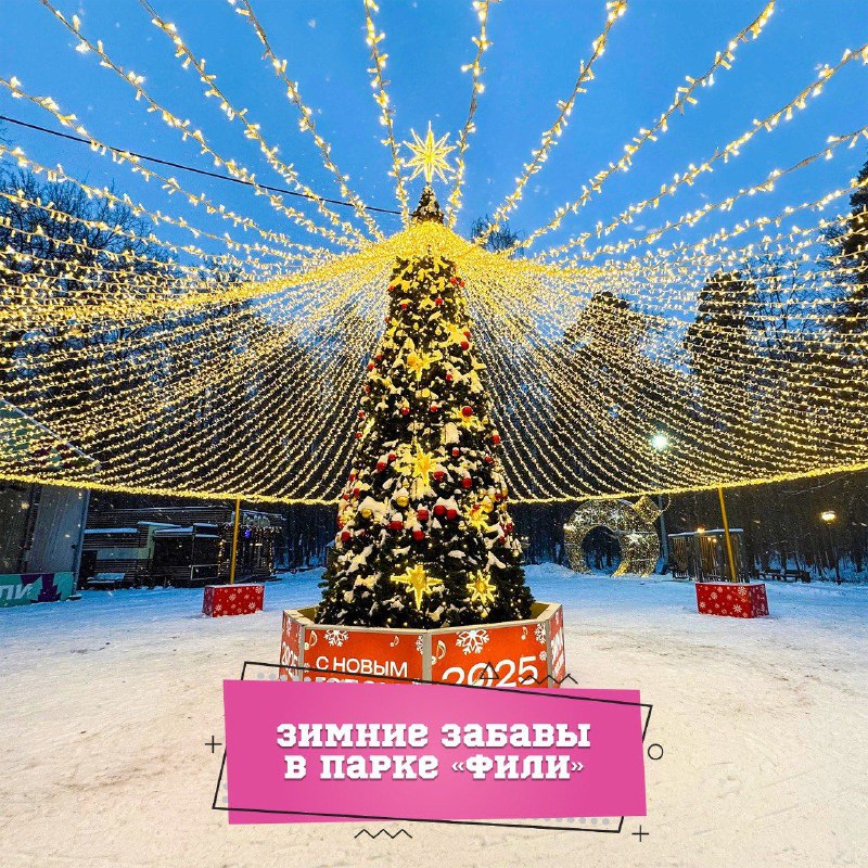 ***🎄*** **22 декабря в 12:00 всех …