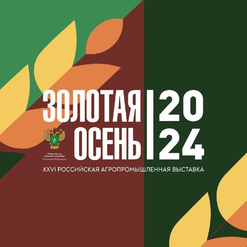 *****🍁*** «Золотая осень — 2024»: главное …