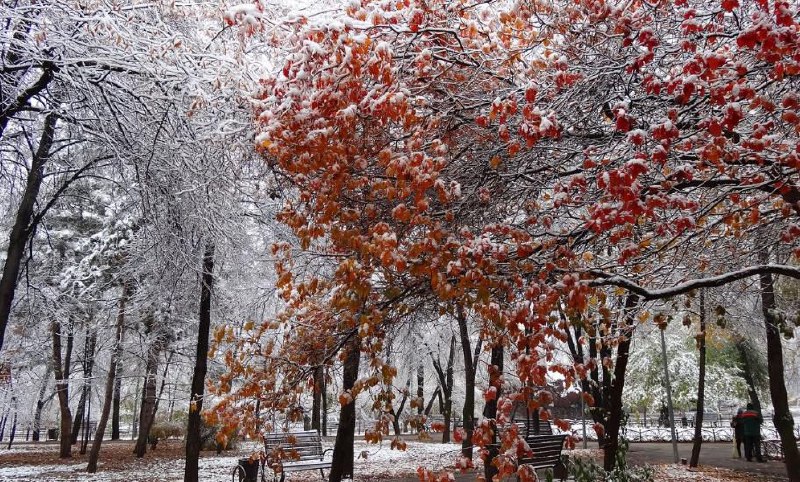 ***🌨*** **Доброе утро, соседи!**