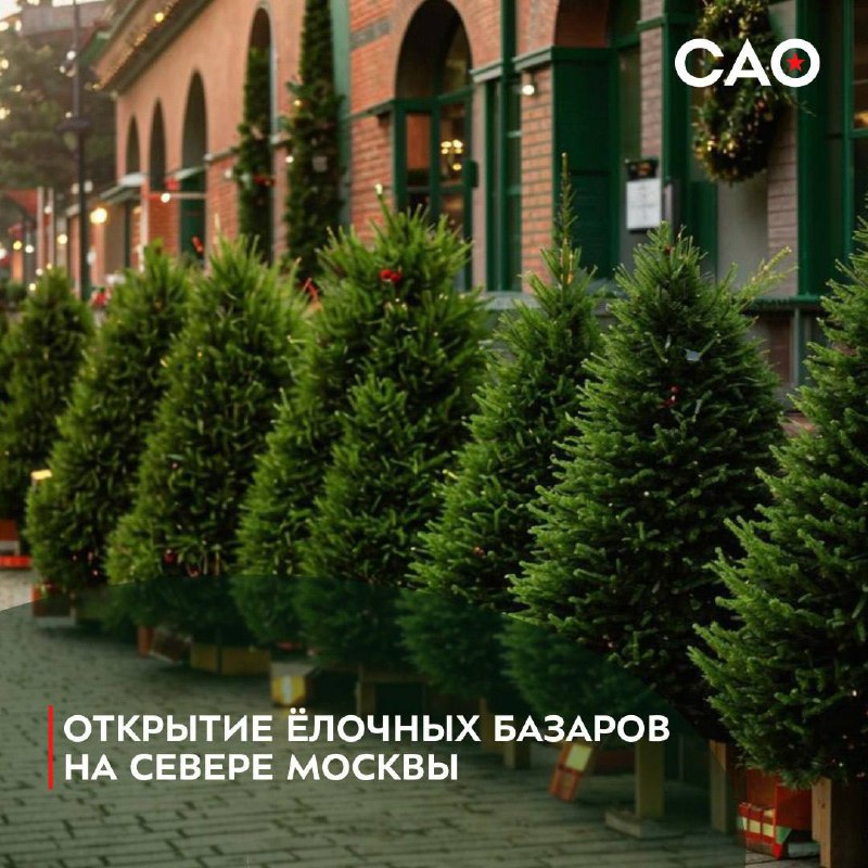 ***🎄*** **На севере Москвы открылись ёлочные …