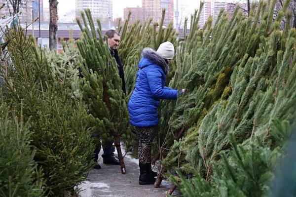 ***🎄*** **Елочные базары откроются в Москве …