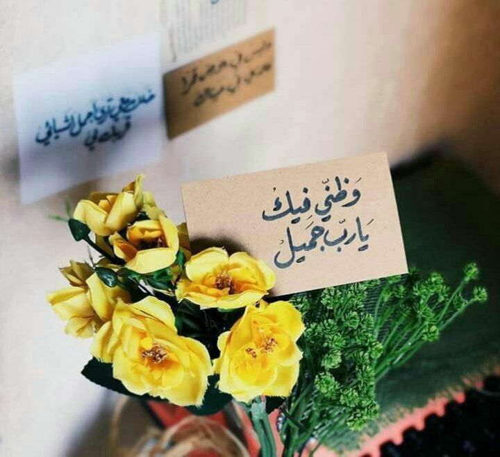 ‏﴿ ولا تيأسو من روحِ الله …
