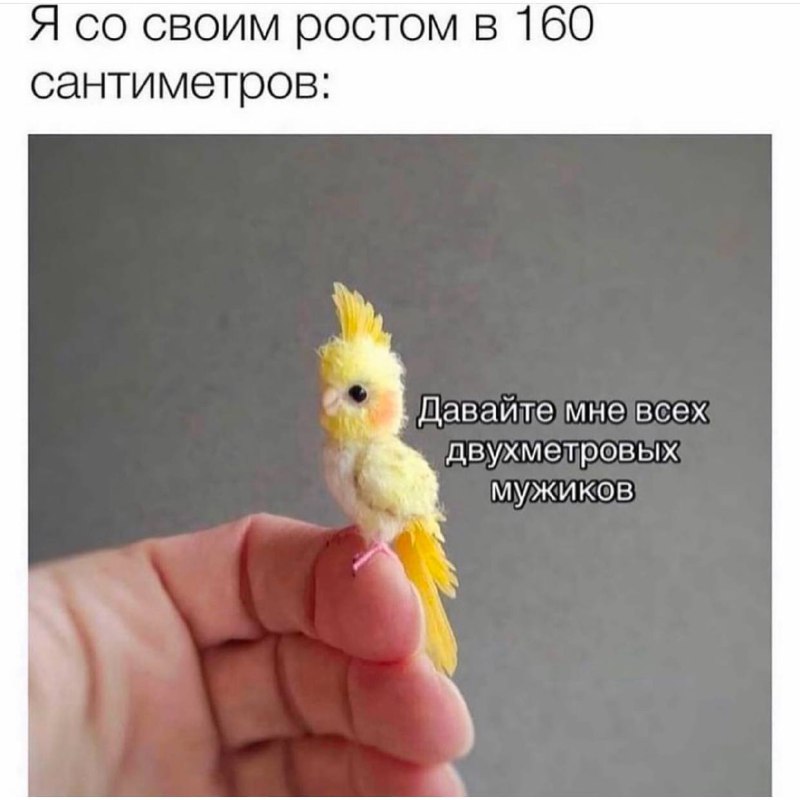 Сосочки и перья