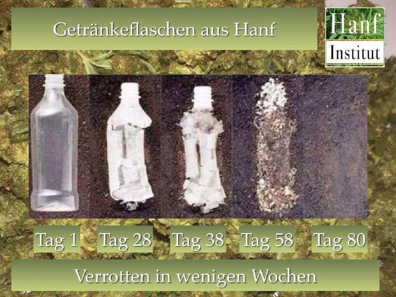 Selbst gemacht, Kreatives, Wiederverwertung
