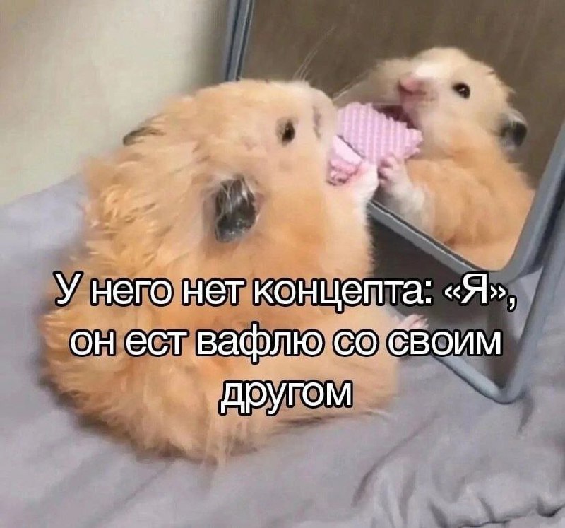 Филмing души