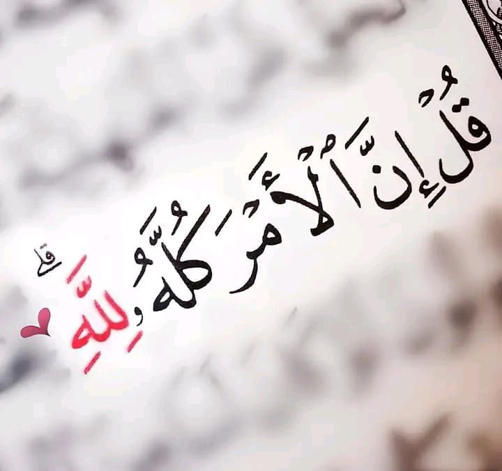 صور متنوعة: تدبر، خواطر و همسات
