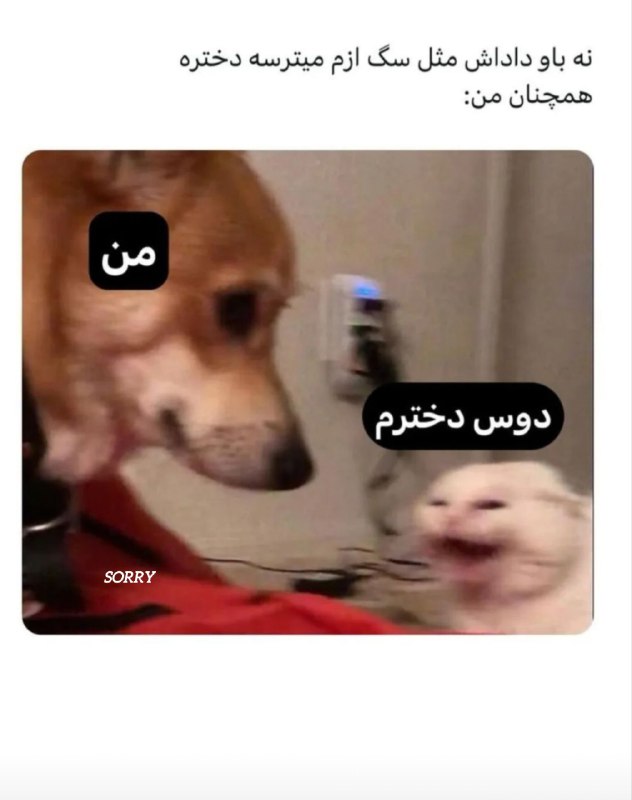 **وضعیت:**