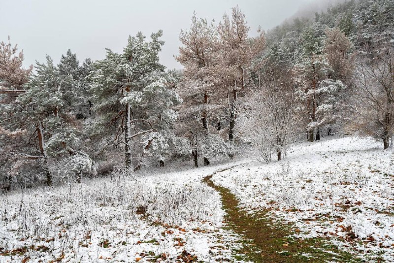 Украина Сейчас: Крым, Запорожье, Херсон, Николаев