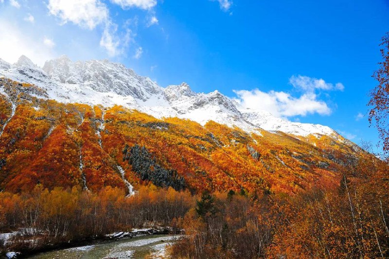 ***🍂*****Многодневные туры в ноябре из Ставрополя**