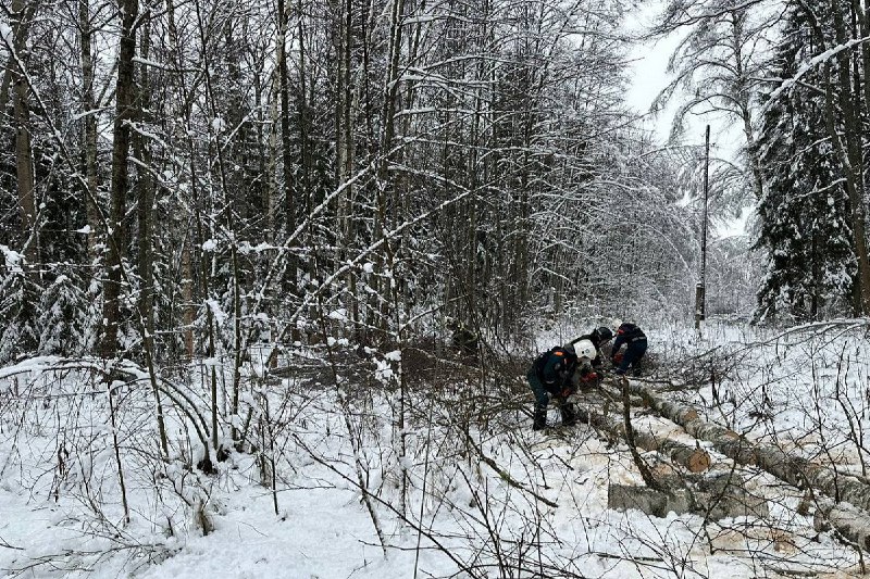 [**В ТВЕРСКОЙ ОБЛАСТИ ВОЗБУДИЛИ УГОЛОВНОЕ ДЕЛО …