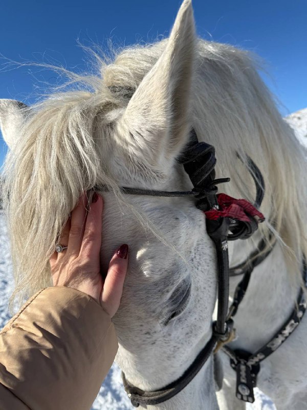 𝒶𝓃𝒹𝒾𝒿𝒶𝓃 𝓈𝓉ℴ𝓇𝒾ℯ𝓈❤️‍🔥