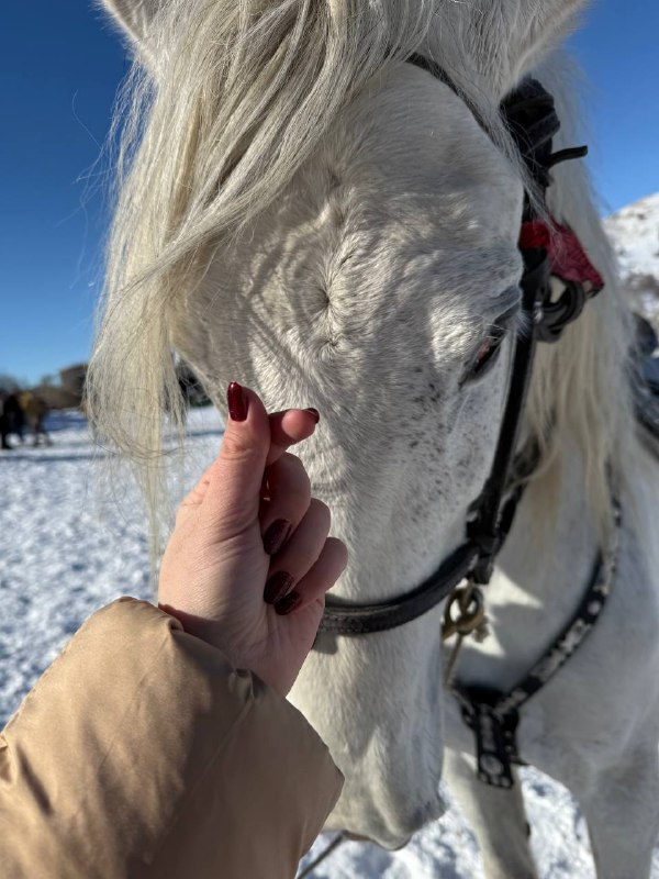 𝒶𝓃𝒹𝒾𝒿𝒶𝓃 𝓈𝓉ℴ𝓇𝒾ℯ𝓈❤️‍🔥