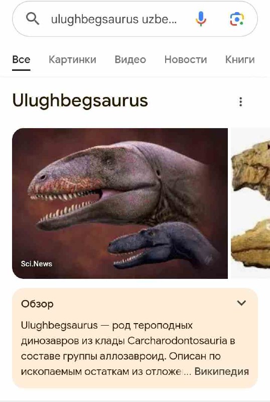 Ulughbegsaurus — род тероподных динозавров из …