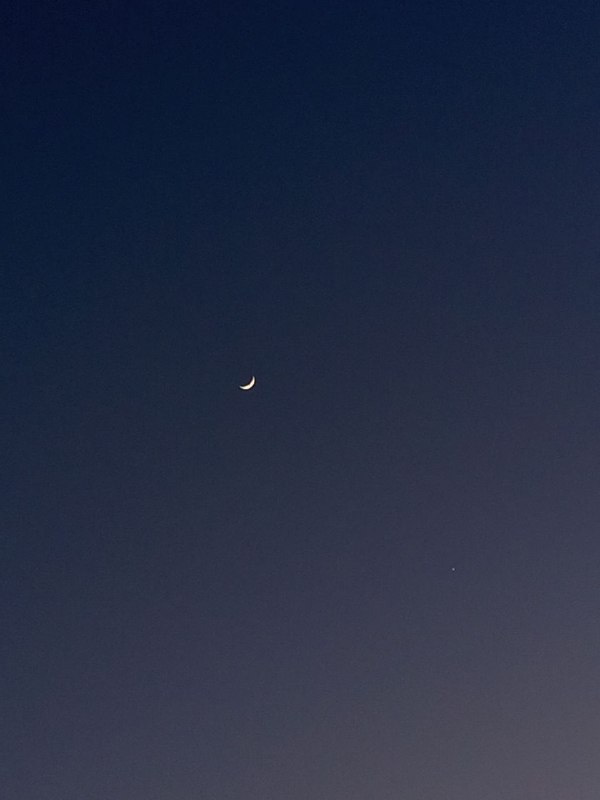 فَلَـكْ 🇵🇸