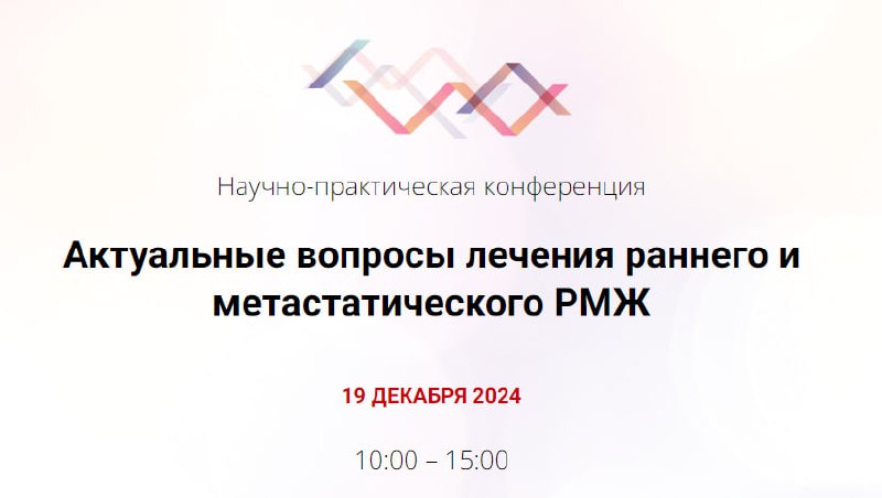 19 декабря 2024 г. в СПб …