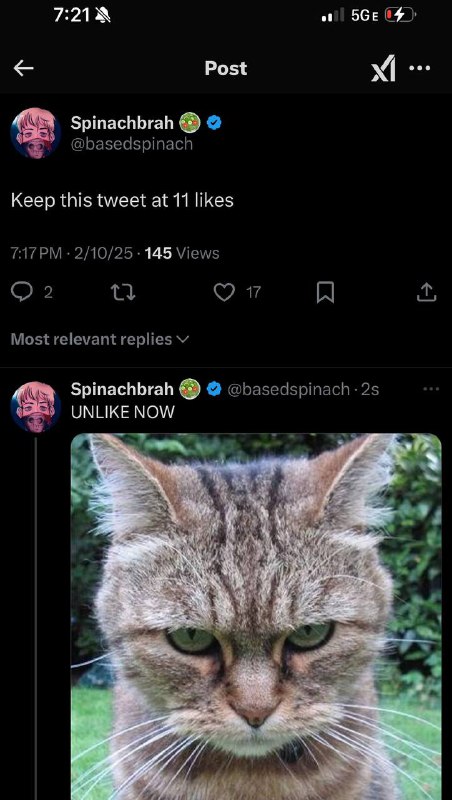 Spinachbrah