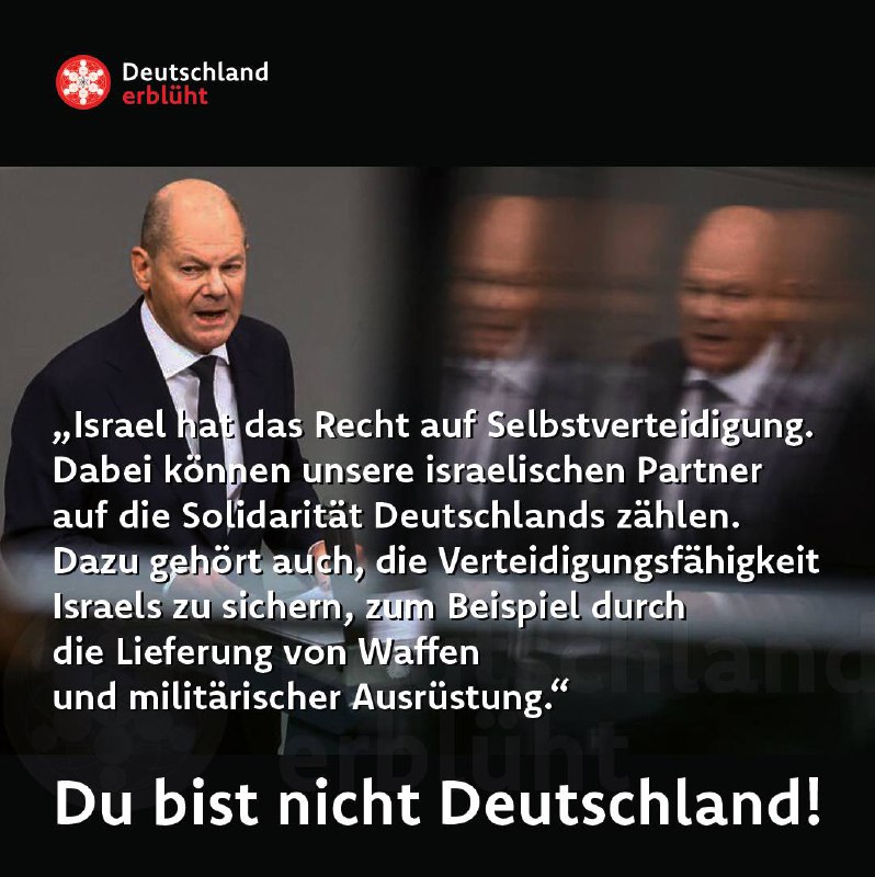 [#scholz](?q=%23scholz) [#israel](?q=%23israel) [#netanjahu](?q=%23netanjahu) [#haftbefehl](?q=%23haftbefehl) [#waffen](?q=%23waffen) [#krieg](?q=%23krieg) …