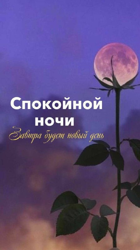 Спокойной Ночи🌜картинки