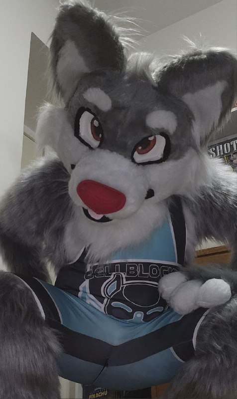Doggo ready for wrestling ***?*** [#FursuitFriday](?q=%23FursuitFriday)