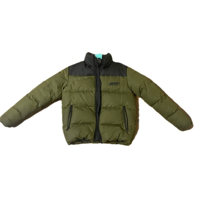 Anteater down jacket