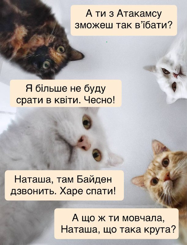 ***😉***Добрий ранок, моя люба Хунто!