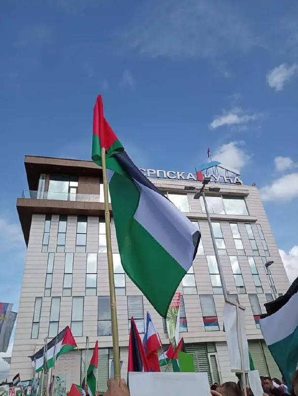 **Подршка Палестини из Подгорице ***❤️*****