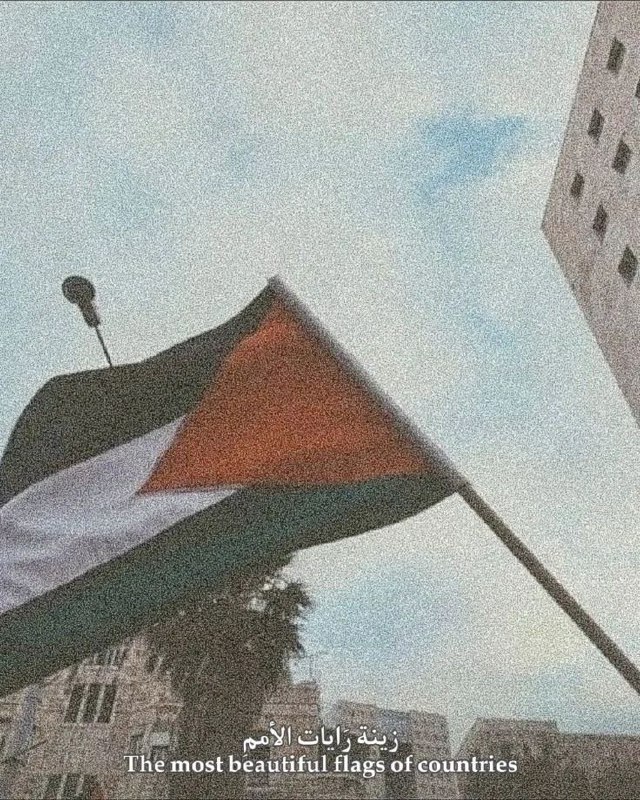 افتارات بدون ذنوب .