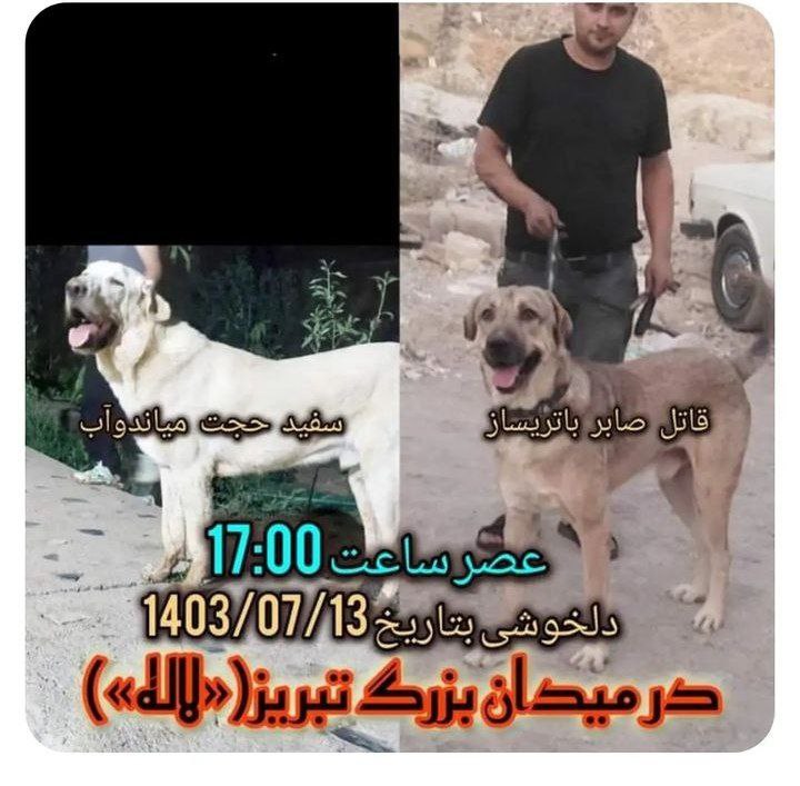 کانال رسمی داگ ایران وعراقhttps://t.me/+OmzIdtbrb7hiYTlk