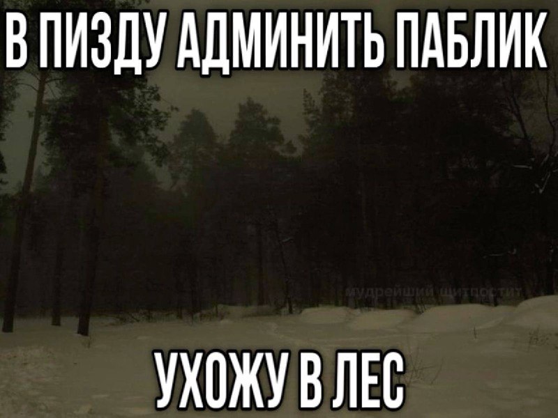 смешарик