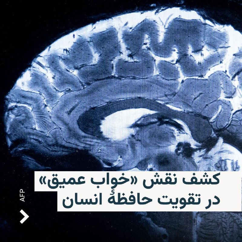 ***?***پژوهشگران در آلمان در پژوهشی تازه …