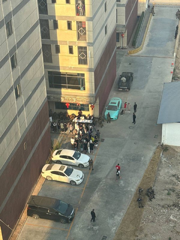 kk园区女猪仔 外流视频