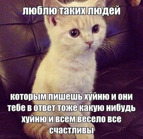 Кирилл тут пошутил