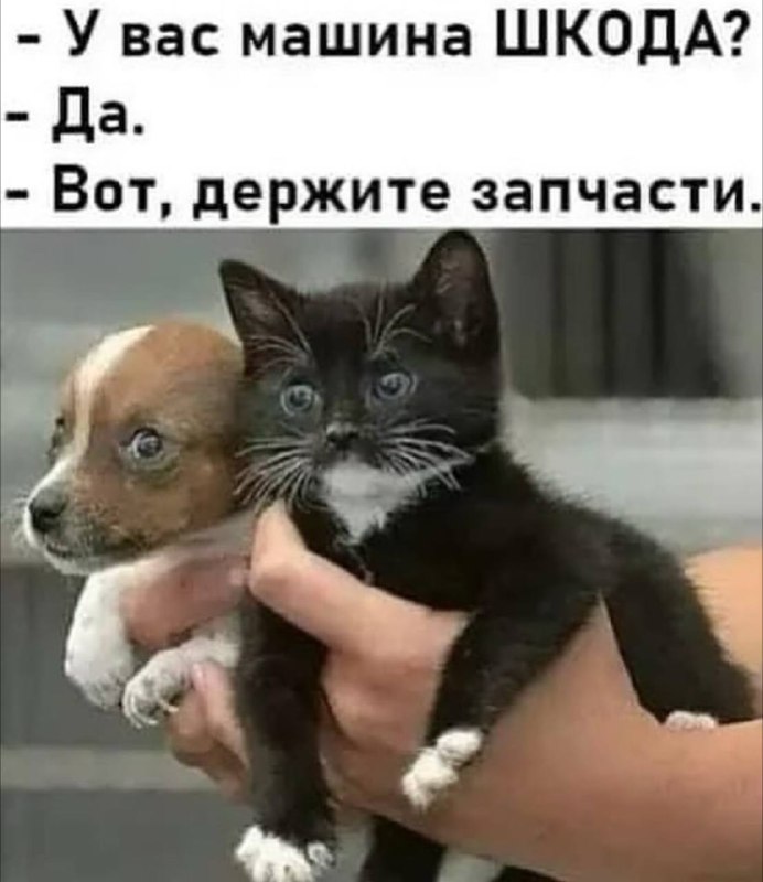Том Хахарди