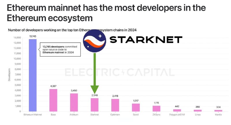 ***⚡️*** Electric Capital 2024 về Starknet