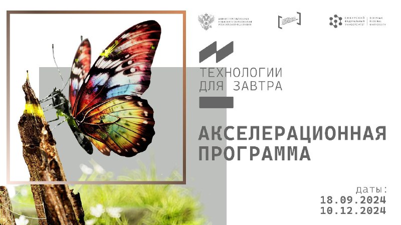 ***🦋*** А в СФУ акселерационную программу …