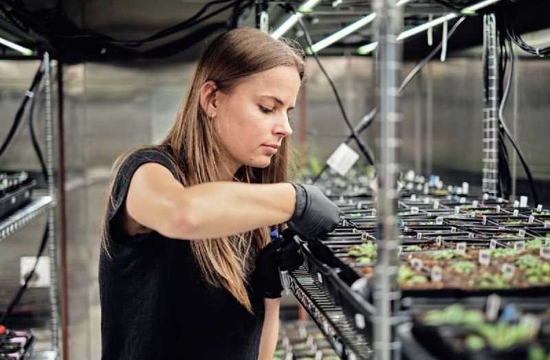 ***🌱*** **Google’s X Launches Heritable Agriculture …