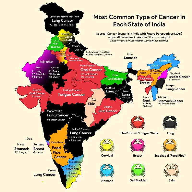 **The most common type of Cancer …