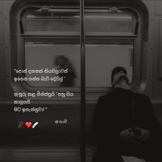 New Sinhala Songs Status Video ♥️🌿