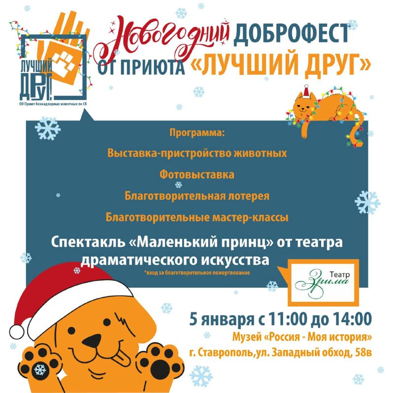 ***🐈*** Городской приют для животных «Лучший …