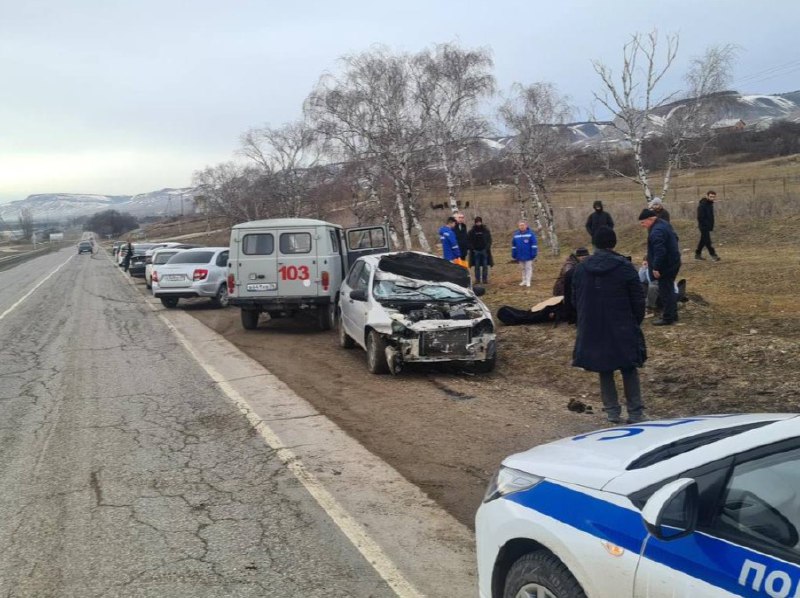 **На Ставрополье водитель сбил лошадь на …