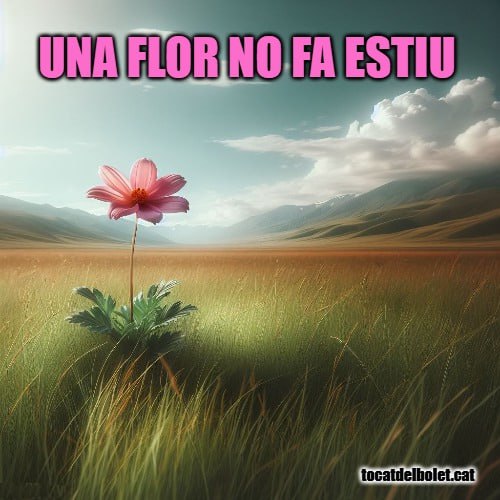 &gt;&gt;&gt; [Una flor no fa estiu: …