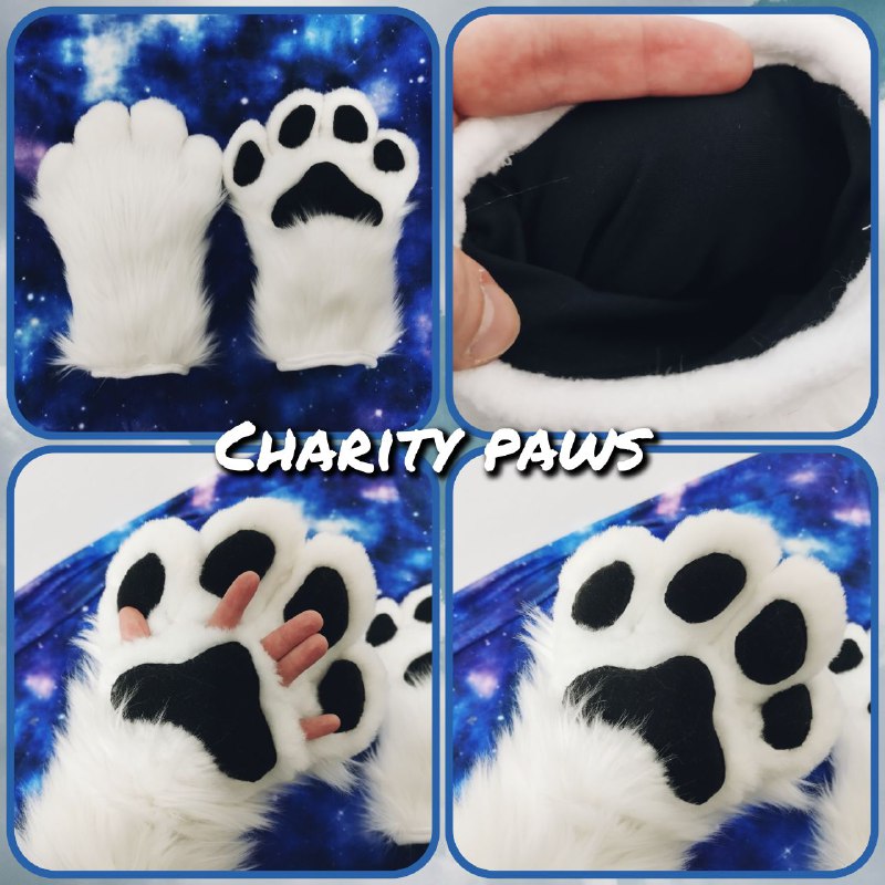 Paws for Zive are done ***?***