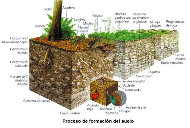 STOP GEOINGENIERÍA MÁLAGA