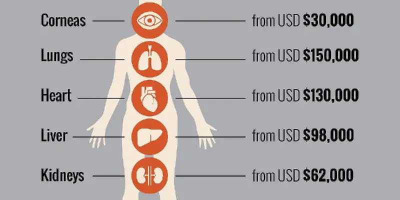 [***?******??***](https://tanngrisnir.substack.com/p/organ-harvesting-without-borders) **Small collection of material on organ trafficking in Ukraine