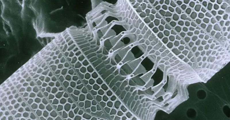 *****🔴*** Nanotechnology: Life-Changing Innovation or Just Too Good to Be True?**