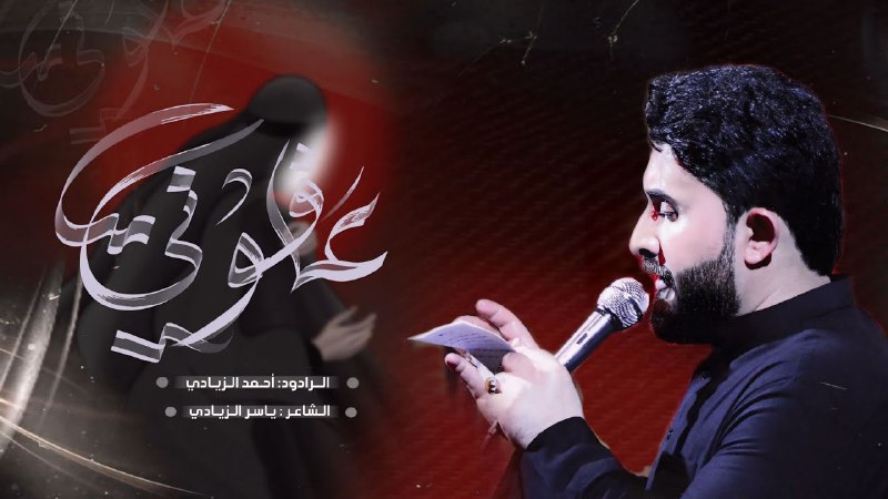 ستوريات ملا أحمد الزيادي