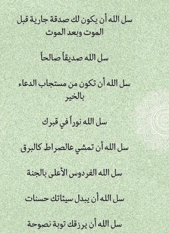 قناة عبدالله بامفلح