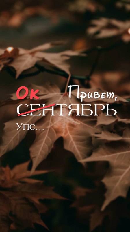 ТВОИ ИСТОРИИ