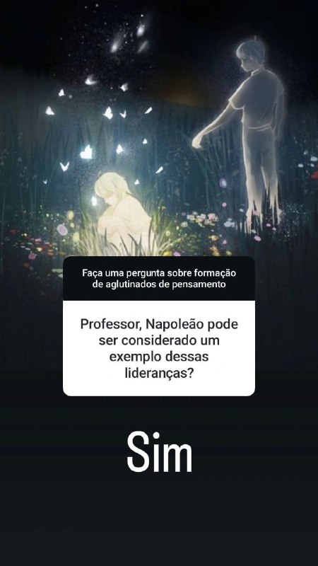 Professor, Napoleão pode ser considerado um …