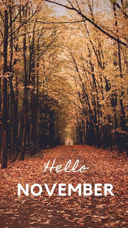 Hello.. November***🍂******🍁***